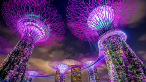 SpeciTec in APAC